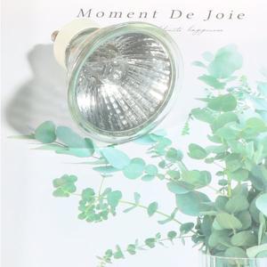 [기타]양키 캔들워머 25W 35W 50W 할로겐 전구 GU10 터치 세트