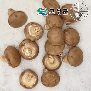 고성 웅이표고농장 생표고버섯 생표고 파지1kg)