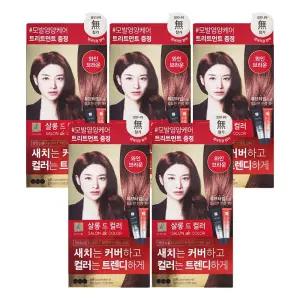 엘지 엘라스틴 염색약 살롱드컬러 와인브라운 X 5개