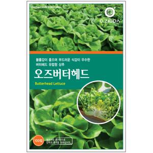 유럽 상추 모둠 종자 씨앗 쌈채소 샐러드 수경재배 [오디가 ODIGA]