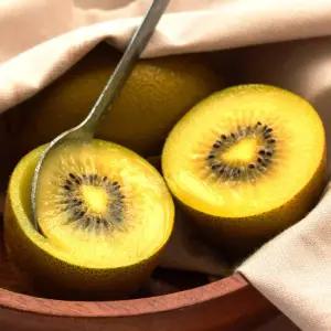 고당도 보성 골드키위 2kg (26-35과) 소과