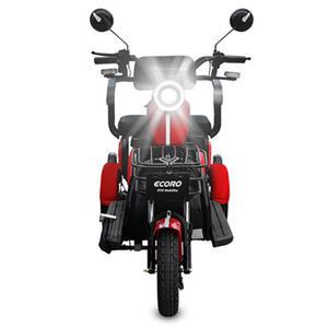 3인승 전동 스쿠터 에코로X3 20A 소형 오토바이 루프세트 삼륜