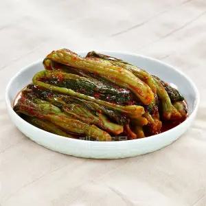 종가 우리땅 갓김치 5kg