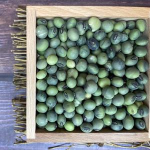 충청남도 청태콩 청태 서리태 청서리태 1kg