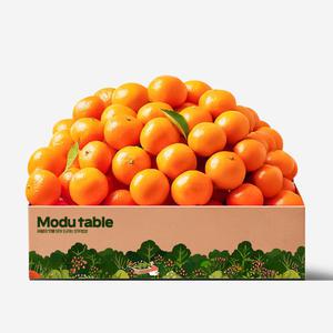 14브릭스의 고당도 비가림 감귤 제주 귤 중에서 가장 달콤해요 1.5kg 로얄(14-21과내외)