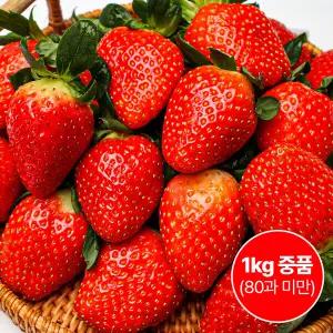 고당도 산청 딸기 설향 1kg 중품 (80과 미만) 생딸기 산지직송 GAP인증