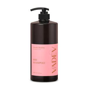 바디브 약산성 샴푸 1000ml 러브 데스티니향 대용량 비듬 청소년 사춘기 초등학생 머리 퍼퓸 정수리 냄새