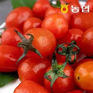 [롯데백화점]자연맛남 농협선별 부여 대추방울토마토 2kg (1-3번) 굿뜨래