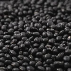 2025년 국산 서리태 속청 4kg (2kg X 2봉)