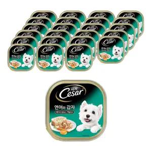 1세 이상 강아지 주식캔, 연어+감자, 100g, 24개