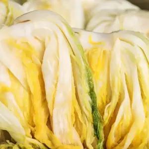 해남 국내산천일염사용 절임배추 20kg (7-10포기)