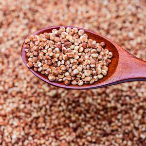 2025년 햇곡 국산 찰수수2kg 붉은수수