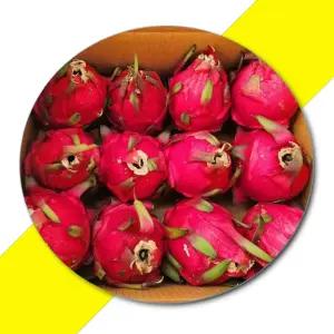 제주 지역 특산물 홍용과 10KG 농산물 제주먹거리 제주홍용과 제주특산물