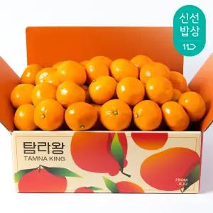 [탐라왕]조생귤 첫수확 4.5kg 찐한 달콤함