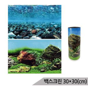 백스크린 양면 30X30cm 수족관배경 어항배경 C525530