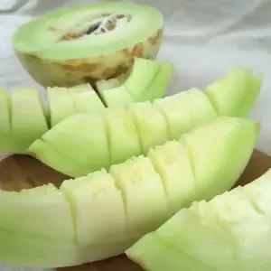 실속못난이_허니듀멜론 4-6수 12kg내외