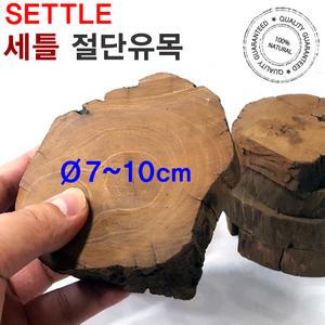 세틀 절단유목 S/M (높이 1.5~3cm/지름 7~10cm)/수족관 어항 장식품 꾸미기 모스 수초 활착 레이아웃 구피