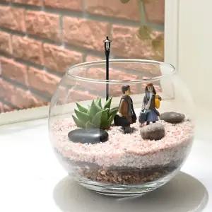 나만의 테라리움만들기 미니 다육 DIY 키트_비긴 어게인