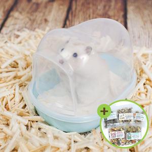 카르노 햄스터 모래목욕 하우스(소)뚜껑 화장실 RJ193