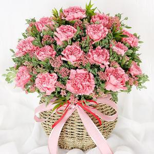 당일 꽃배달 핑크 카네이션 꽃바구니 생화 배달 A1941