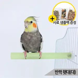 반짝 발톱갈이 횃대(대) 중소형 앵무새 장난감 03751