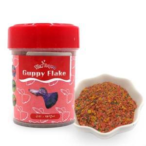 쿠피 태생어 영양만점 면역력 증진사료 제브라피시 드워프구라미 구피 베타