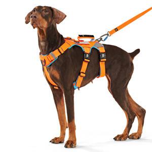 인터라켄 어스텍 슬림 3.0 강아지 하네스