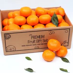 제주 레드향 가정용 3kg 5kg (고당도보장)