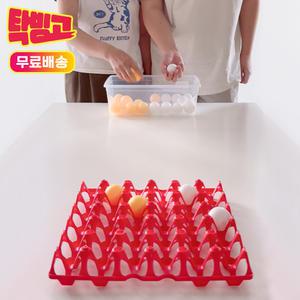 탁빙고 탁구공 빙고 계란판 게임 레크레이션 초등 어린이 보드게임 야외 단체 워크샵 가족