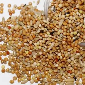 델리네이쳐 소형 1kg 사랑앵무 잉꼬 새사료