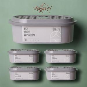 온다숲 제습제 반영구 국산100% 천연 습기제거제 옷장 방습제 집안 제습 장마철 5개