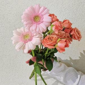 [꽃같은하루] 제철꽃 2종 믹스 한다발 랜덤 생화 꽃다발 택배 꽃배달싼곳