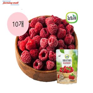 [보금푸드] 뉴뜨레 냉동과일 라즈베리 칠레 500g x 10개