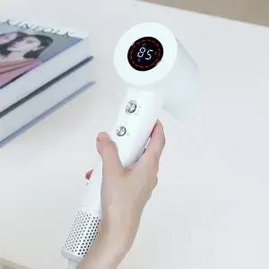 아이테라 에어플로우 스마트 음이온 BLDC 초고속+저소음 항공모터 헤어 드라이기 LCD화면 펫 드라이어