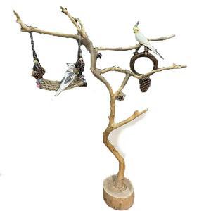 앵무새 놀이터 용품 횟대 조립 2층앵무새집 잉꼬 모란새 거실 호금조 앵무새횟대