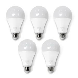 두영 두영 조명 LED 전구 20W, 주광색, 5개