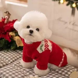강아지 겨울 크리스마스 패션 목폴라 니트 스타일