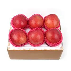 세상별미 프리미엄 경북 꿀 사과 선물세트 2kg