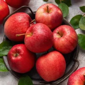 세상별미 경북 부사 꿀 사과 4kg