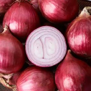 아삭 달큰한 국내산 무안 자색양파 5kg(중/대 혼합)