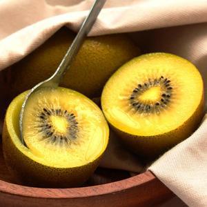 [보성 골든키위 출하] 새콤달콤  보성 골드키위 2kg(16-20) 점보사이즈