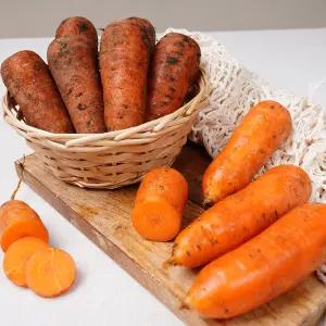 국내산 햇 흙당근 5kg(왕)