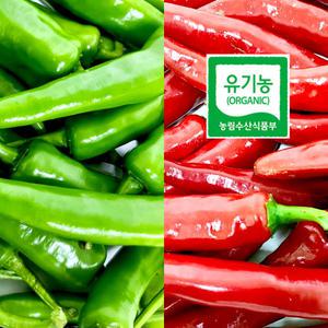 유기농 고추 풋고추 홍고추 600g 친환경 고추 짱아치 풋고추 김치 홍고추