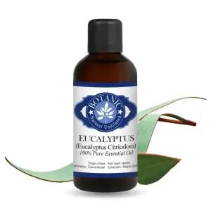 보타닉잉글랜드 천연 아로마 에센셜오일 유칼립투스 시트리오도라 100ml 시트리오디올 레몬 유칼립투스 테라피등급