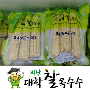 2025년 괴산 대학찰옥수수 삶은 냉동옥수수 특품(42개) 찐옥수수 찰옥수수