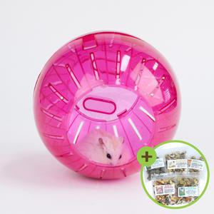 칼라 햄스터볼(대)소동물 햄스터 장난감 헬스볼 햄볼