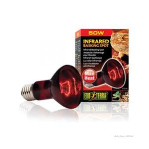 엑소테라 적외선램프 50W