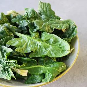 국내산 비금도 섬초/시금치 2kg