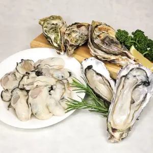 국내산 통영 굴 석화 5kg 각굴 하프쉘 생굴 각굴 반각굴 횟감 찜 구이용