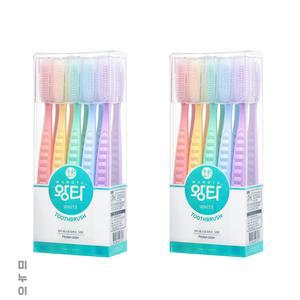 왕타 칫솔 데일리 통칫솔 파스텔 세트 10개입 2세트